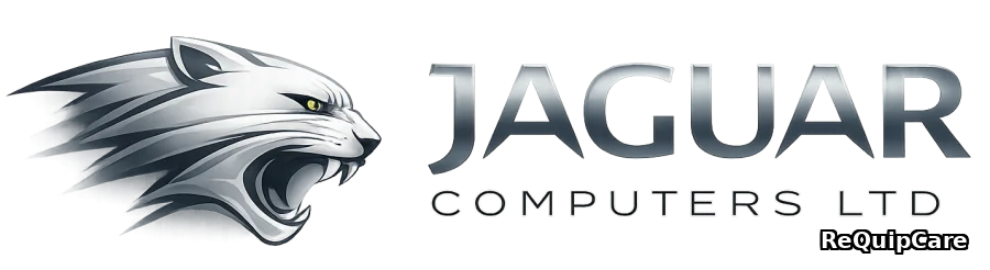 Software Services